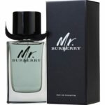 Mr Burberryb Element