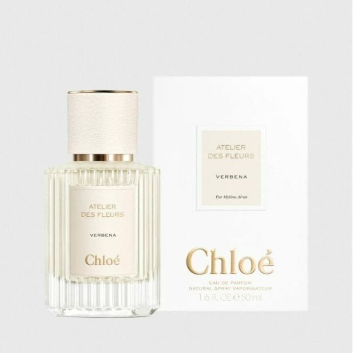 فيربينا | Verbena